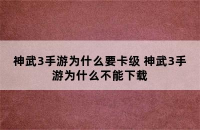 神武3手游为什么要卡级 神武3手游为什么不能下载